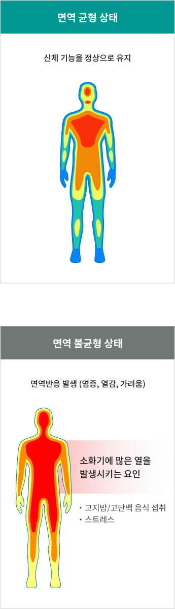 아토피의 원인