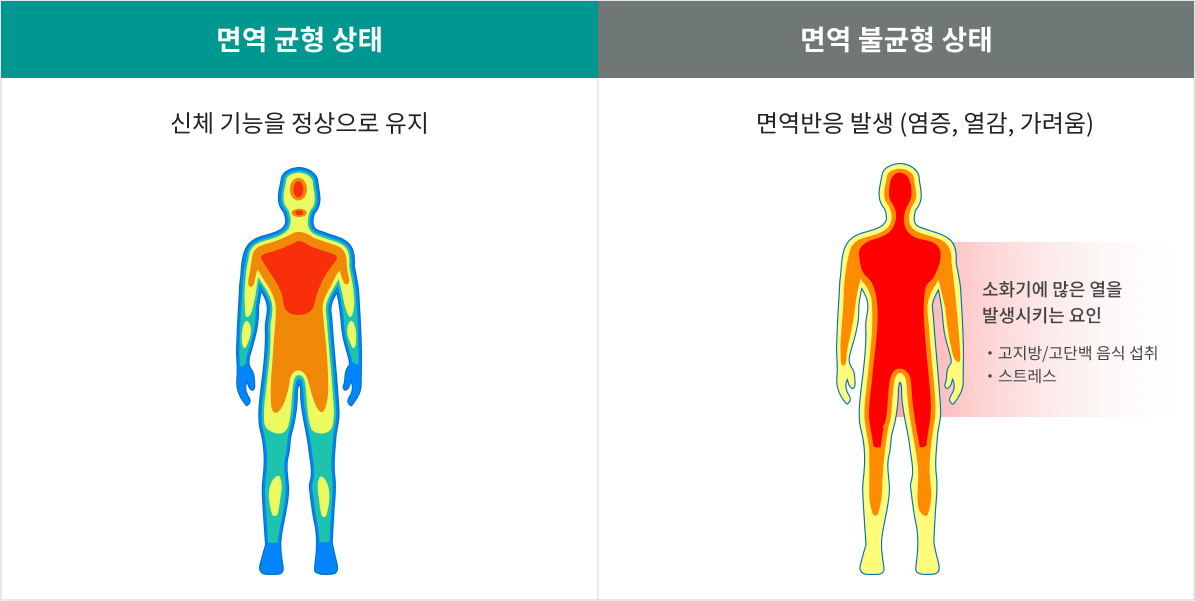 아토피의 원인