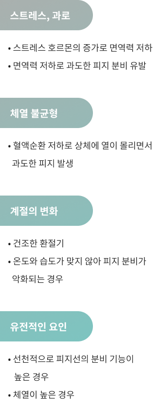 지루성 피부염의 피지 발생 원인