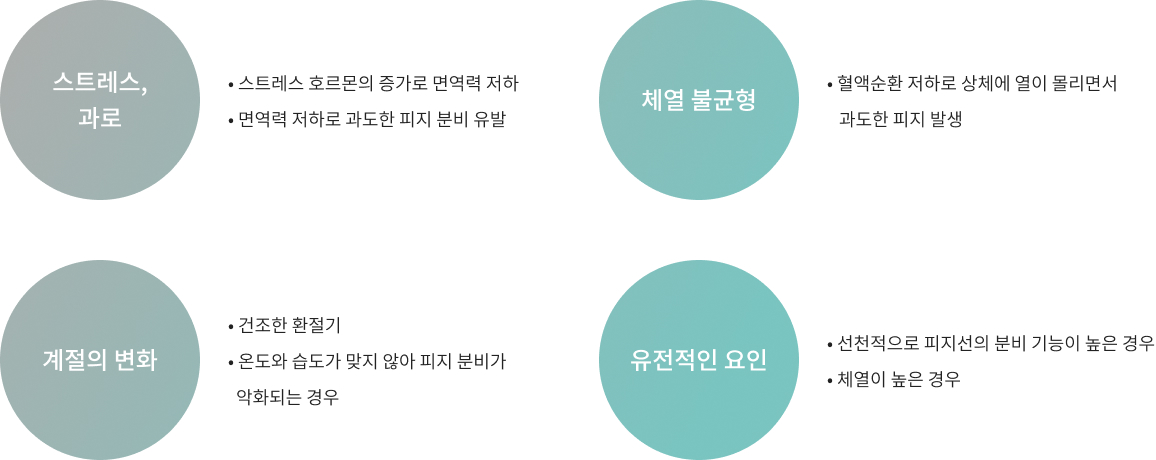 지루성 피부염의 피지 발생 원인