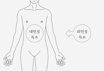 내인성 독소와 외인성 독소에 대한 사진