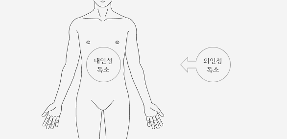 내인성 독소와 외인성 독소에 대한 사진